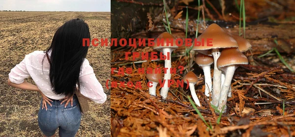 ПСИЛОЦИБИНОВЫЕ ГРИБЫ Верхнеуральск