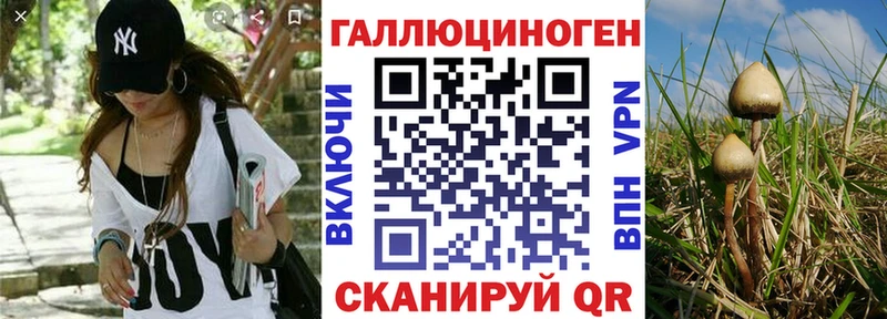 Галлюциногенные грибы ЛСД mega маркетплейс Грязовец